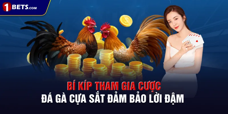 Bí kíp tham gia cược đá gà cựa sắt đảm bảo lời đậm
