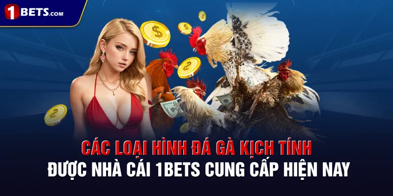 Các loại hình đá gà kịch tính được nhà cái 1BETS cung cấp hiện nay