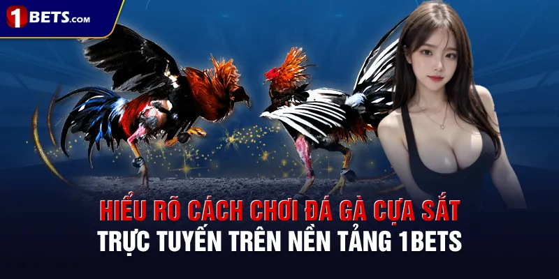 Hiểu rõ cách chơi đá gà cựa sắt trực tuyến trên nền tảng 1BETS