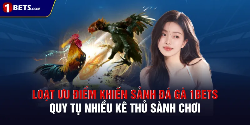 Loạt ưu điểm khiến sảnh đá gà 1BETS quy tụ nhiều kê thủ sành chơi